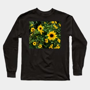 Bright yellow flowers in full bloom Long Sleeve T-Shirt